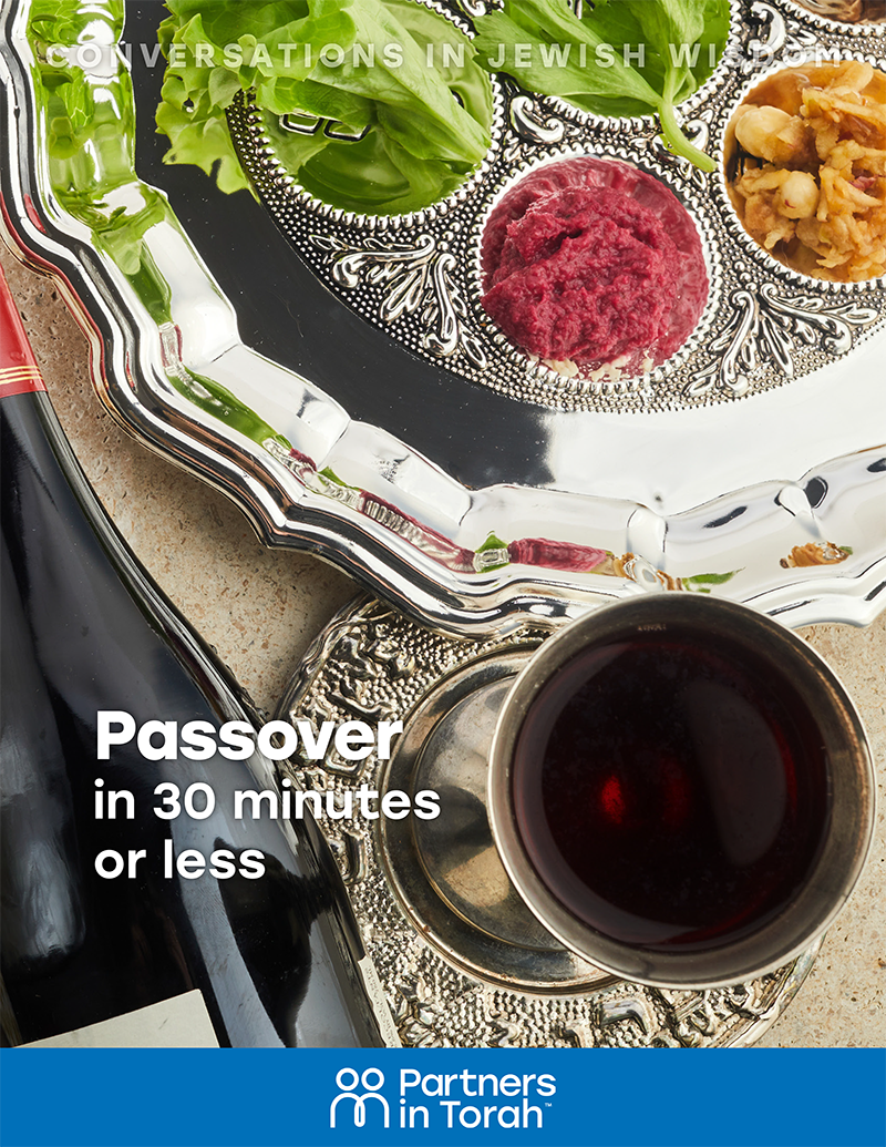 Jewish Wisdom Series: Passover in 30 Minutes